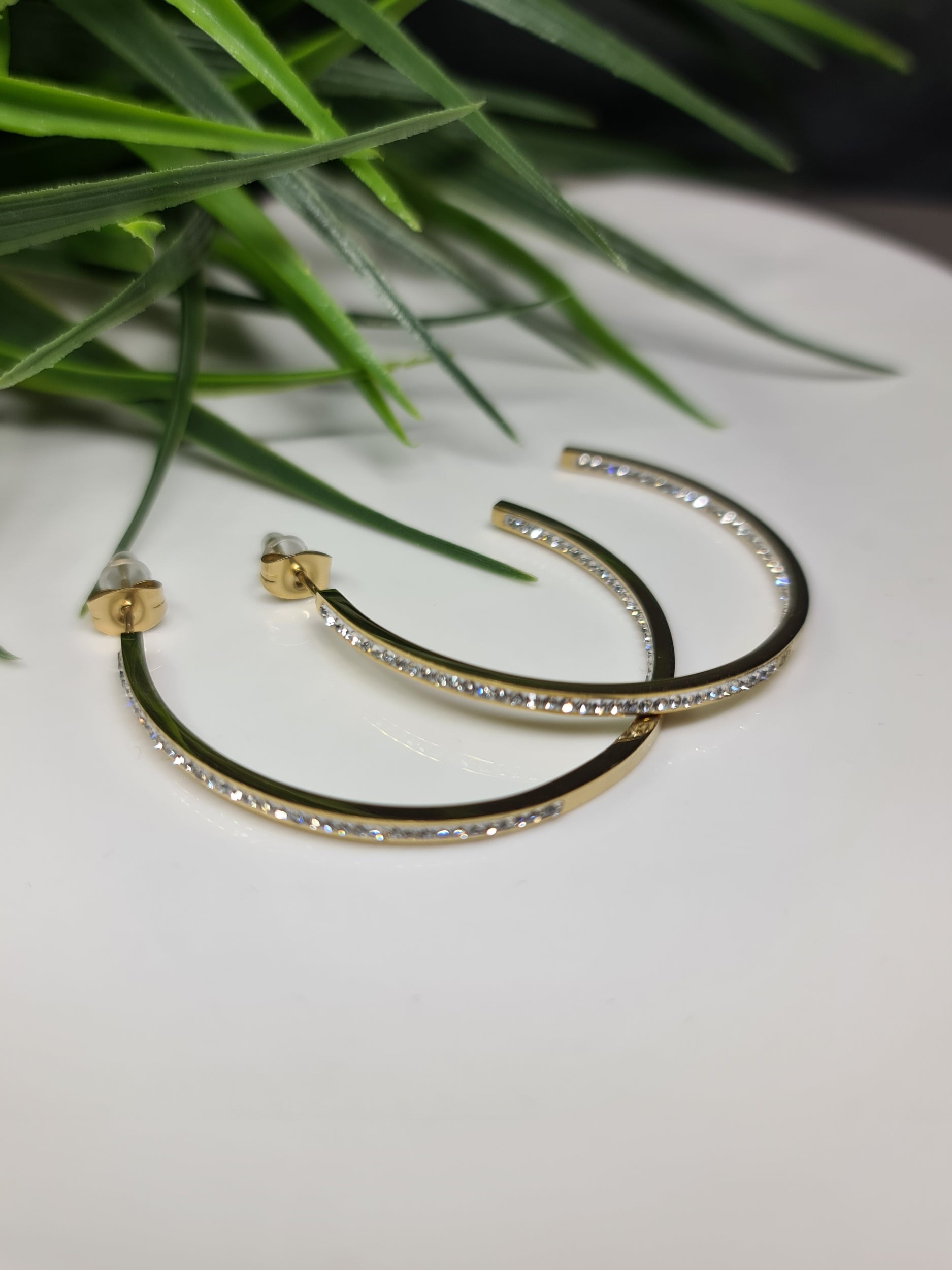 Hoop earrings image 0