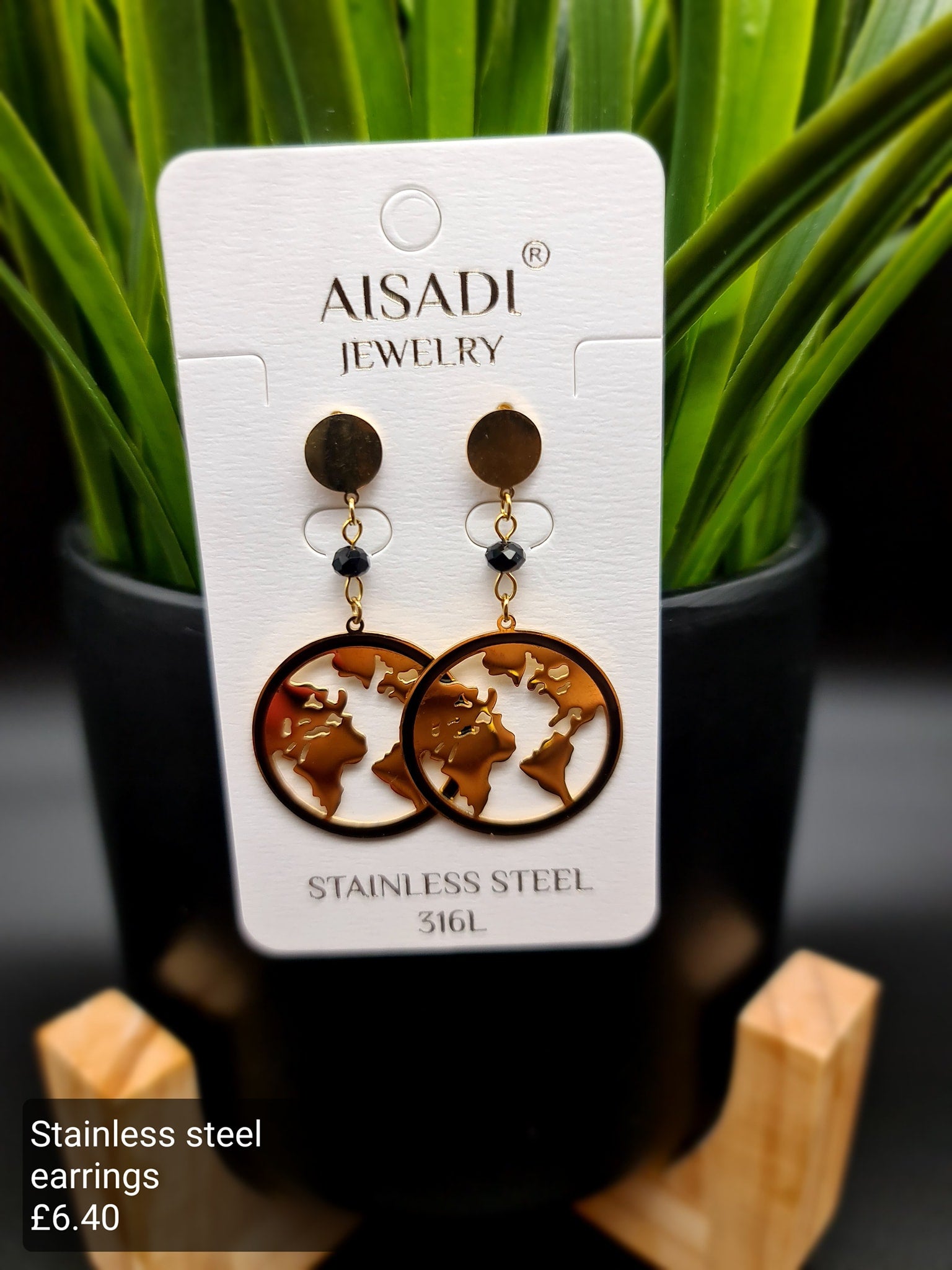 Planet earth earrings image 0