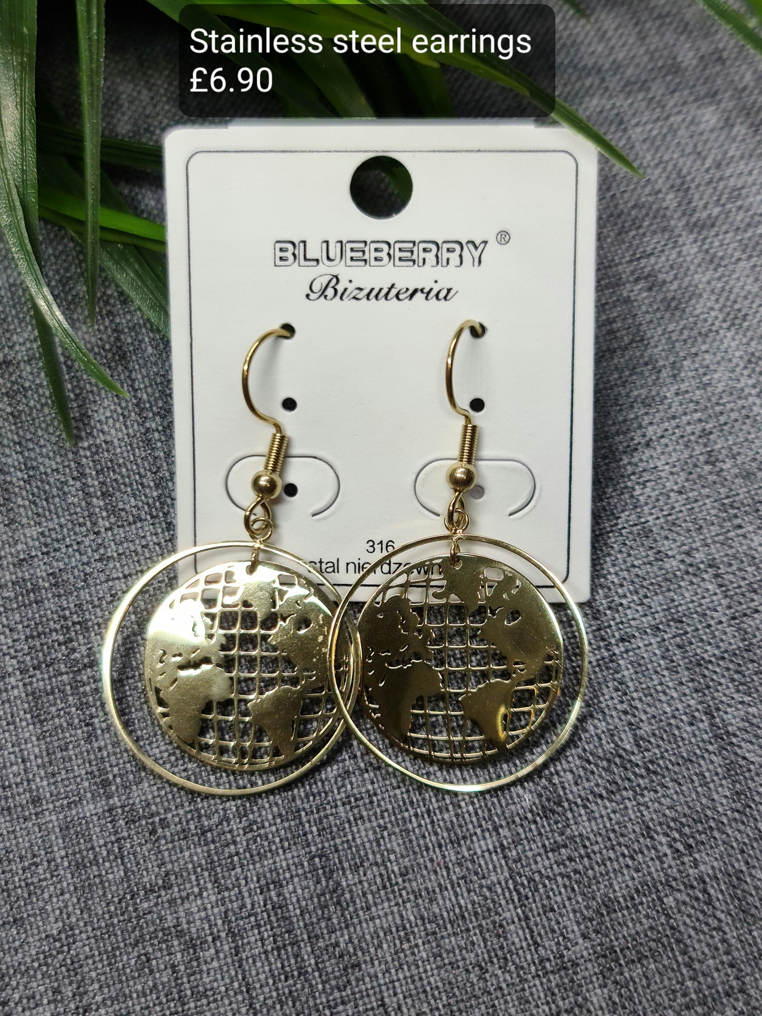 Planet Earth earrings image 0